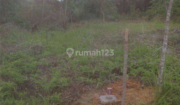 tanah strategis komersial dekat pintu toll 1