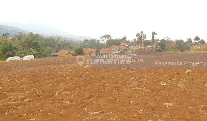 Tanah kebon desa cimenyan bandung ada view bisa beli setengah 1