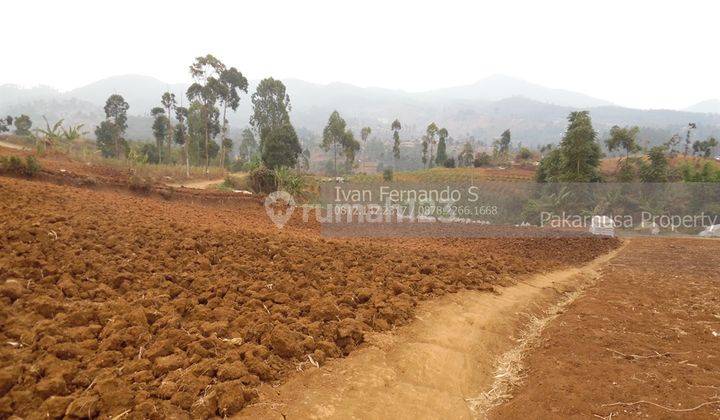 Tanah kebon desa cimenyan bandung ada view bisa beli setengah 2