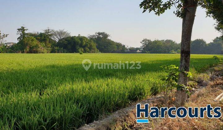 Tanah istimewa pinggir jalan karanganyar kota 1