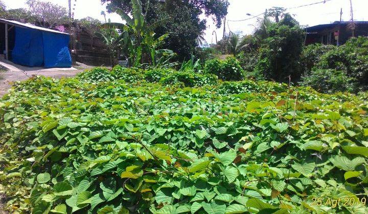 Tanah Super Murah dan Keren, View Bagus, Lokasi Bagus 1