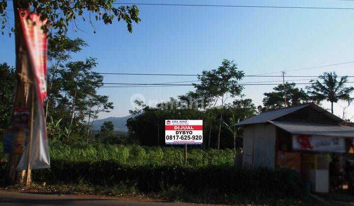 Tanah Bagus di Mainroad ,tanjung Sari Sumedang 1