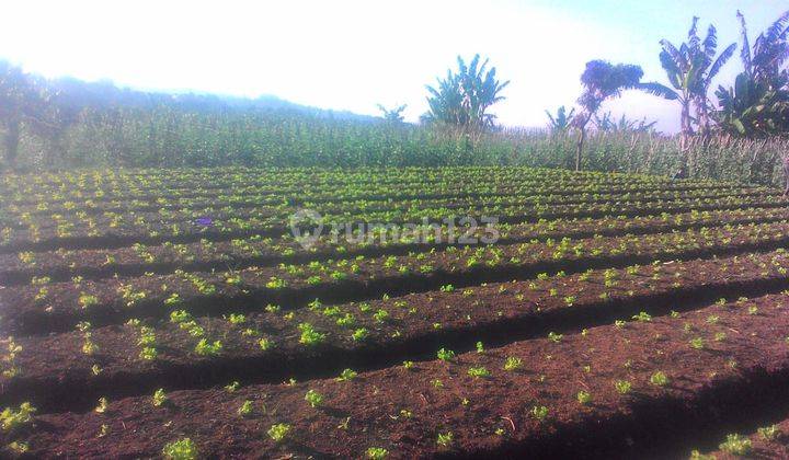 TANAH STRATEGIS UDARA SEGAR BANDUNG UTARA 1