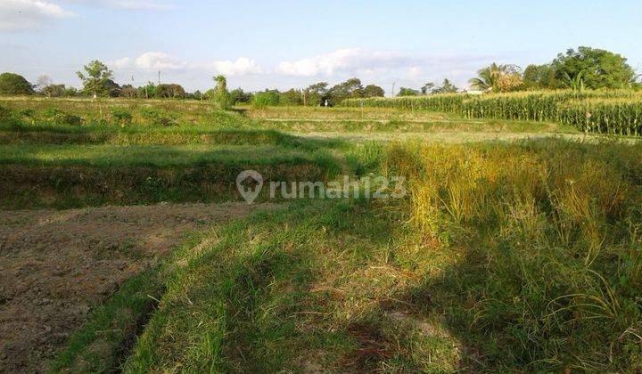 STRATEGIC LOCATION ! 21.165m2 Land SHM on Jl. Raya Krasan 2