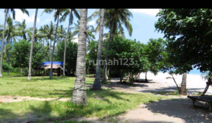 Lahan Beach Front Super Premium (11.2 Ha) Di Pantai Setangi Tebal Pasir Pantai K/L 70 Meter 2