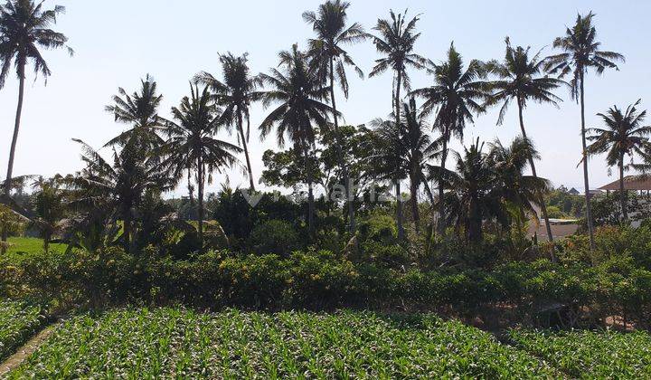 Private Villa Land (1,486 m2) with Ocean &amp; Rice Field View in Rangkan Ketewel Village - Gianyar 2