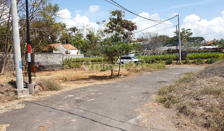 Lahan Private Villa (650m2) with Ocean &amp; Rice Field View di Desa Rangkan Ketewel - Gianyar 2