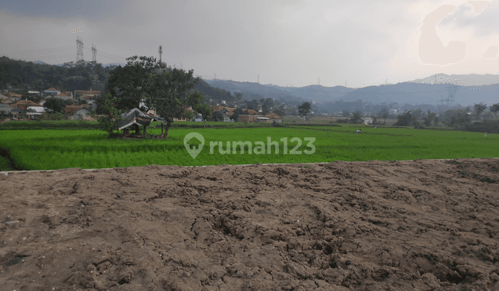 Tanah Lokasi Strategis Cocok Untuk Bangun Perumahan Di Soreang 1