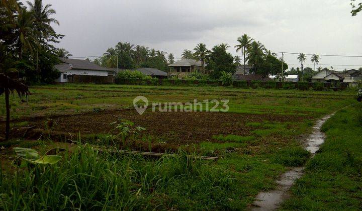 Dijual Tanah Komersial Pandeglang, Banten 2