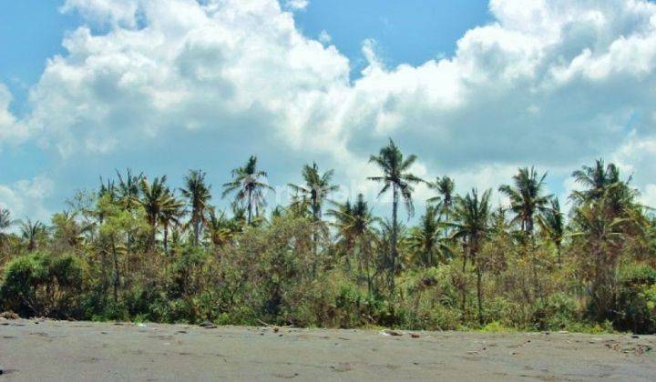 Tanah Di Padang Bay Karangasem, Sertifikat Hak Milik 7.000 M² 2