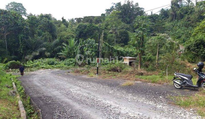 Plot of Land in Sembung Kerambitan Tabanan 2