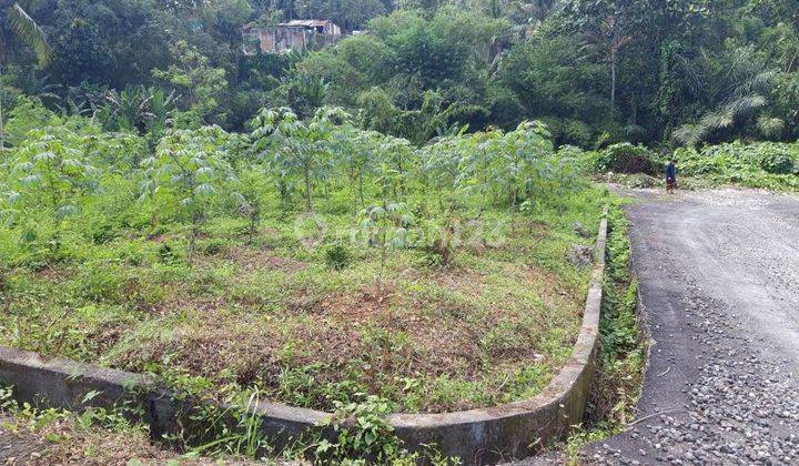 Plot of Land in Sembung Kerambitan Tabanan 1