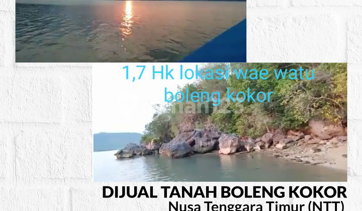 Tanah Strategis Di Desa Wae Watu boleng kokor NTT