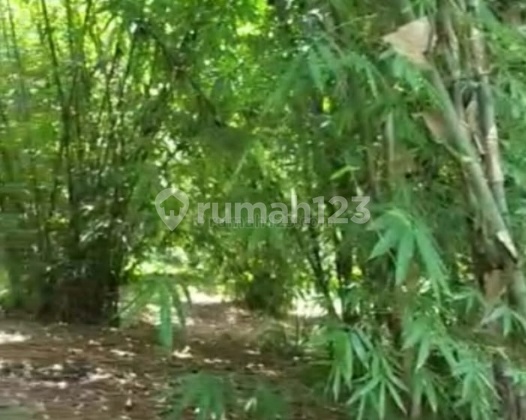 Disukasirna Land Bogor Disukasirna Land Bogor