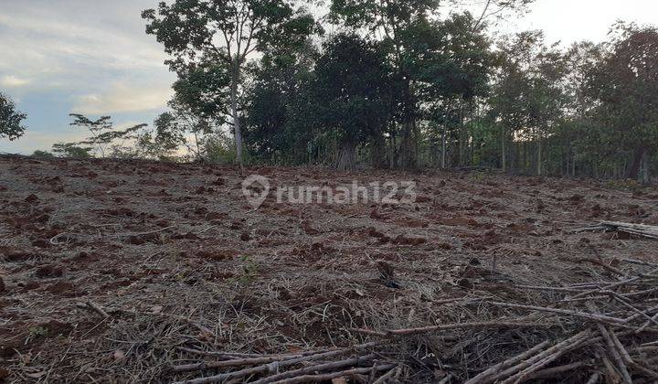 Tanah luas lokasi strategis di cikembar sukabumi 1