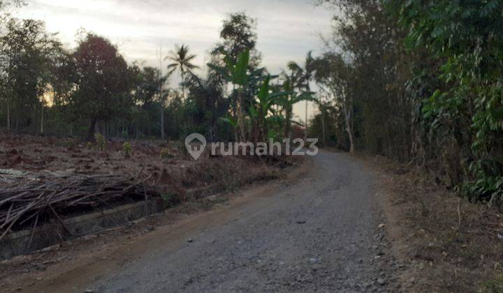 Tanah luas lokasi strategis di cikembar sukabumi 2