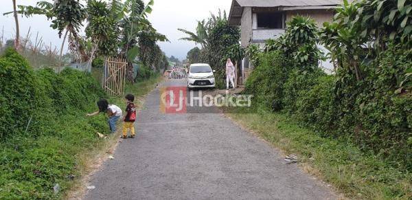 Tanah Murah di Sukabumi Cocok untuk Perkebunan 2