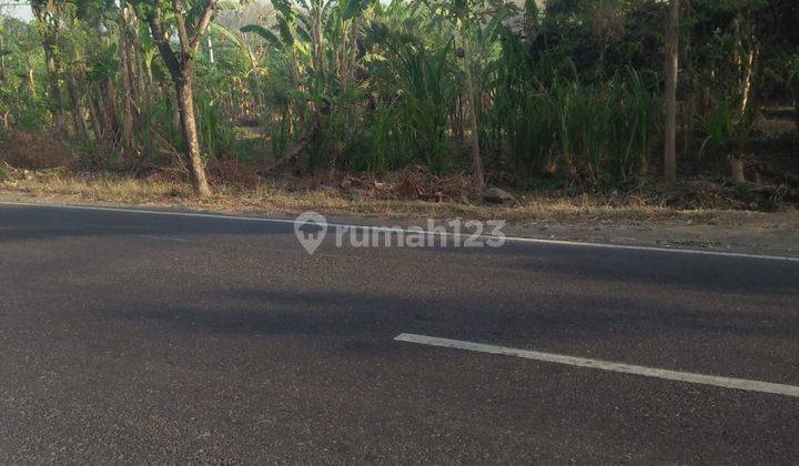 Strategic and cheap land in Buleleng Bali, suitable for investment 1