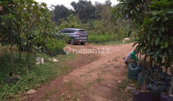 Tanah siap bangun, cocok untuk buat perumahan (mini cluster) 2