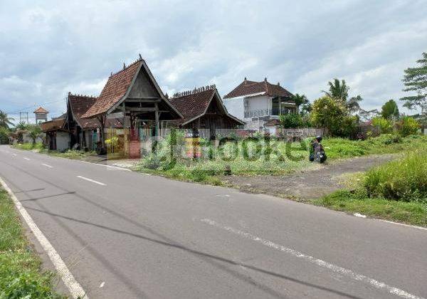 Plots for Rent in Ubud Near Monkey Forest and Ubud Palace 2