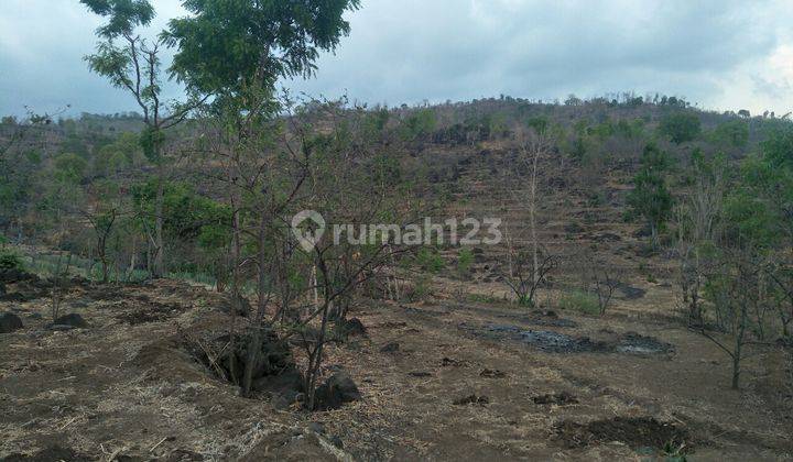 Tanah Murah Prospek Menguntungkan 2