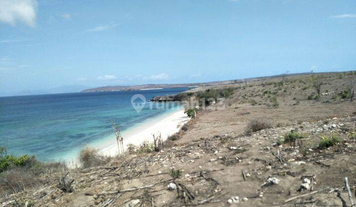 Lahan Murah Los Pantai Pink Lombok Harga Nego Sampi Deal 1