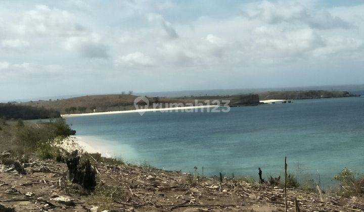 Lahan Murah Los Pantai Pink Lombok Harga Nego Sampi Deal 2