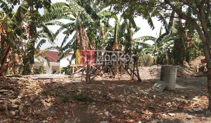 Tanah Murah SHM bawah NJOP di Bukit Sari Semarang, 5.5 jt/m 1