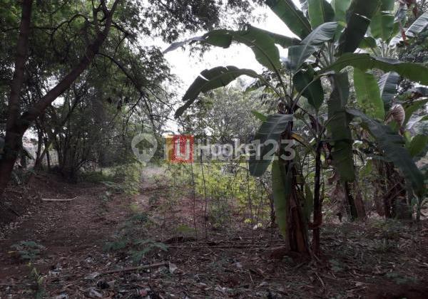 For Sale 5500m Land in Cinangka Depok. Two-Car Main Road Access. For Sale 5500m Land in Cinangka Depok. Two-Car Main Road Access.