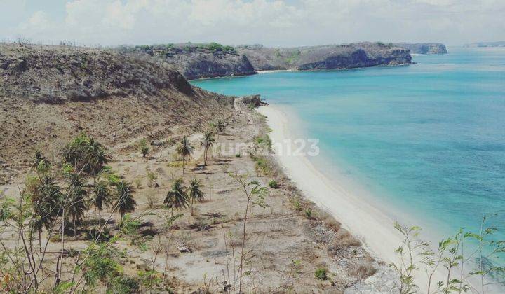 Tanah Exotic Los Pantai Pasir Putih 1