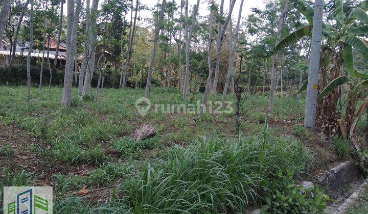 Tanah murah prospektif di pinggir jalan raya Ampel Boyolali 2