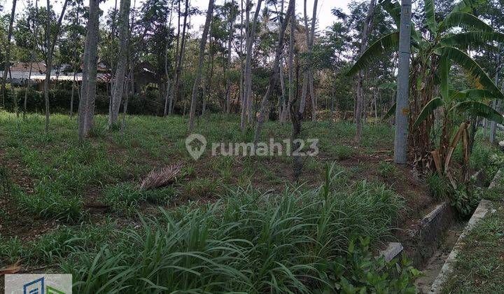 Tanah murah prospektif di pinggir jalan raya Ampel Boyolali 2