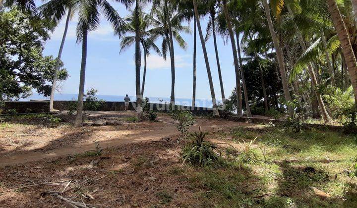 Beachfront Land in Tejakula 2