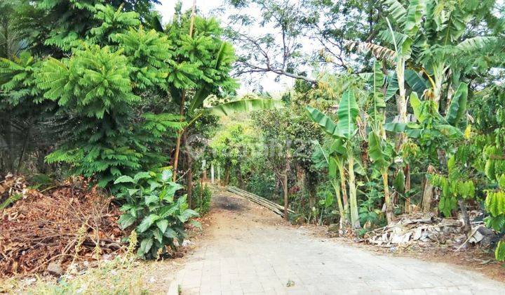 Tanah Luas Ada Sumber Mata Air Siap Bangun Perumahan...Lokasi Strategis Dekat Bukit Dieng Dan Villa Dieng Residence...Cocok Untuk Usaha Dan Investasi..Harga Nego 1