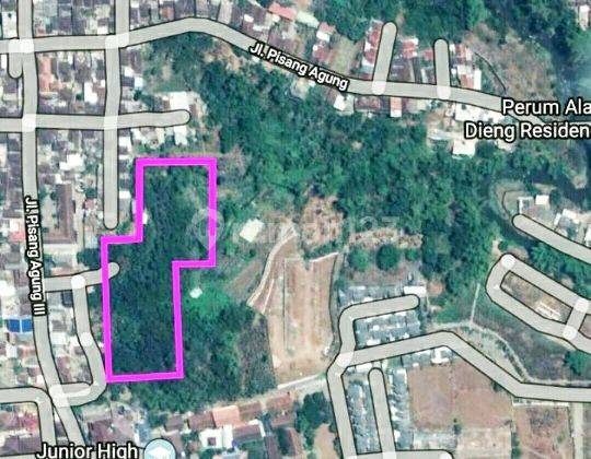 Tanah Luas Ada Sumber Mata Air Siap Bangun Perumahan...Lokasi Strategis Dekat Bukit Dieng Dan Villa Dieng Residence...Cocok Untuk Usaha Dan Investasi..Harga Nego 2