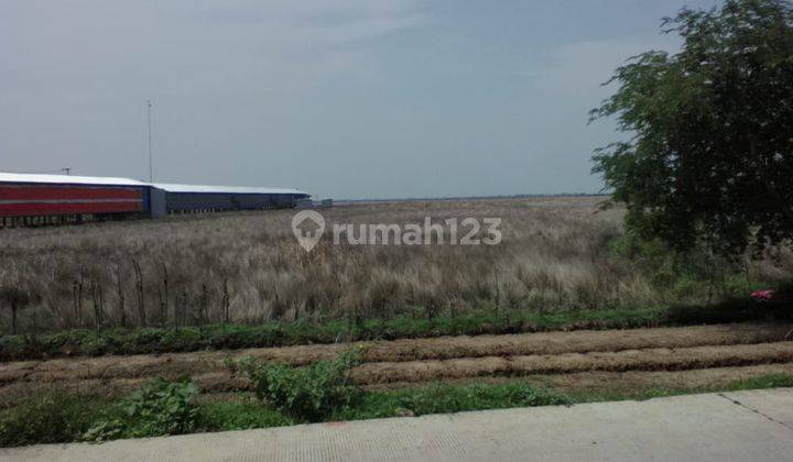 Tanah Strategis Bangun Ruang Gudang Pinggir Jalan Kertasari Losarang 2