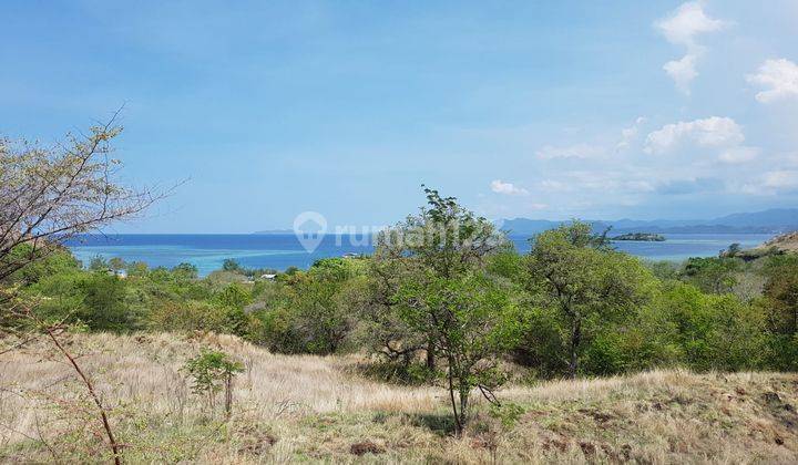 Absolute Beachfront 70.000m2 FREEHOLD Land at Labuan Bajo, Flores 2