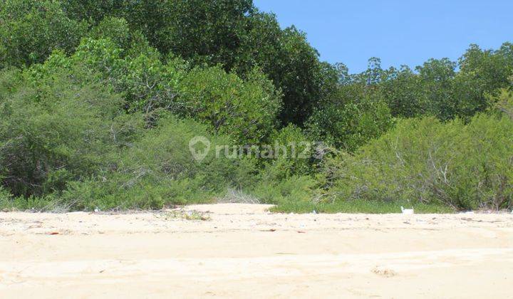 Absolute Beachfront 140.000m2 FREEHOLD Land at Labuan Bajo, Flores 2