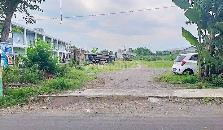 Tanah Luas 6000 Meter Pekarangan Jogja Selatan 2