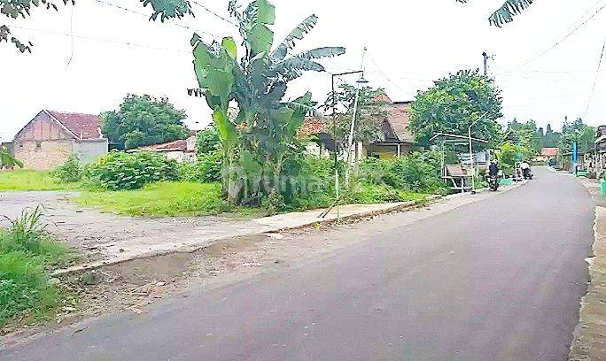 Tanah Luas 6000 Meter Pekarangan Jogja Selatan 1