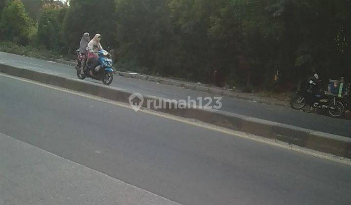 Tanah gunung Sindur Bogor 1