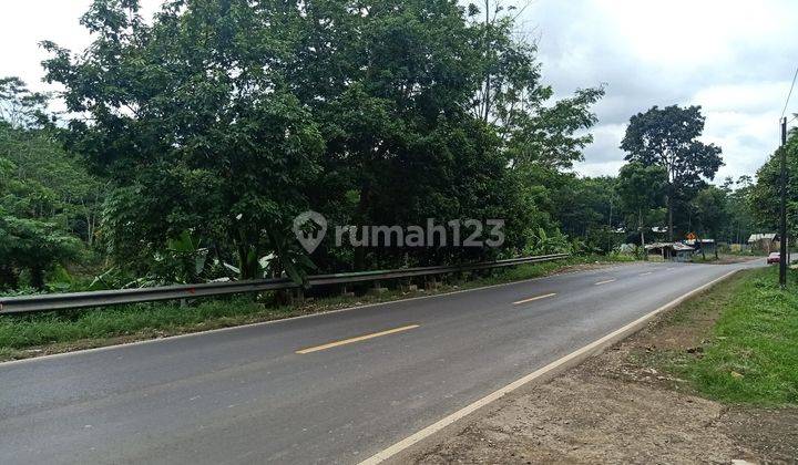 Tanah lokasi strategis, jalan raya propinsi 1