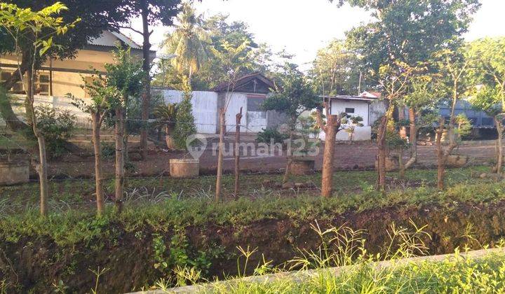 Jual Tanah Kebun Di Banyuwangi Harga Terbaru