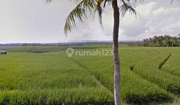 land with views of the sea, rice fields and mountains in Bali 1