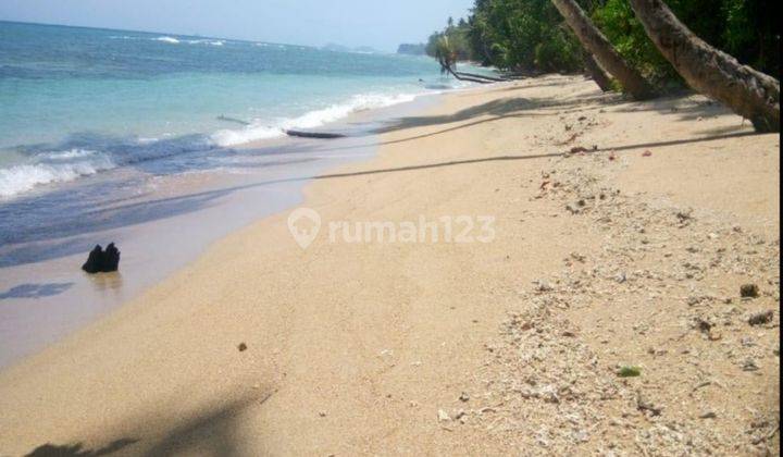 Tanah Pantai pasir putih 2~5 hektar di Pulisan kalinau Likupang 1