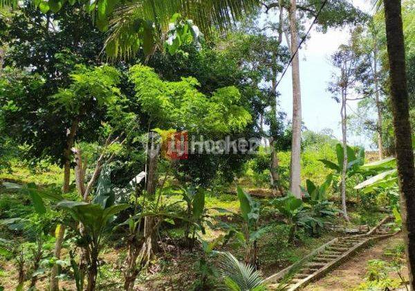 Tanah Cakep padat Pinggir  jl Raya Deket pemandian jatikuwung desa sukacai  serang pandeglang arah anyer  2