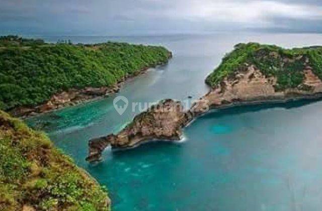 Land For Sale 1