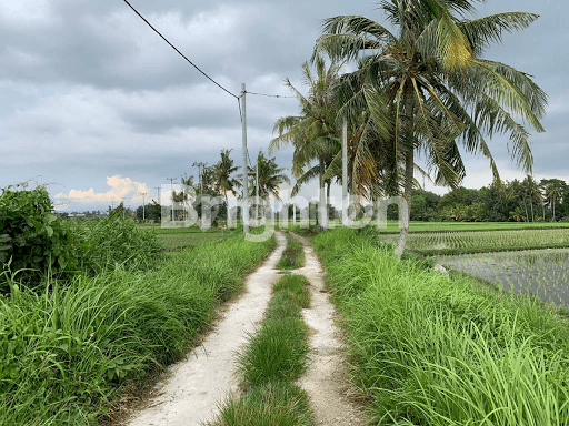 TANAH DEKAT PANTAI KEDUNGGU TABANAN 1