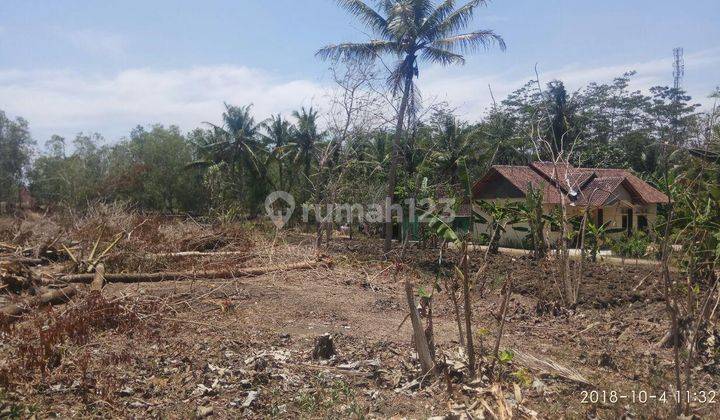 Tanah Murah Dekat Bandara NYIA 1