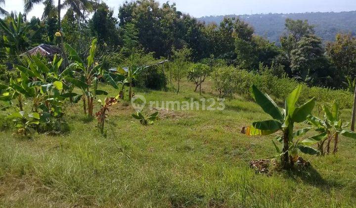 lokasi tanah yang keren, diatas pantai Lovina 1